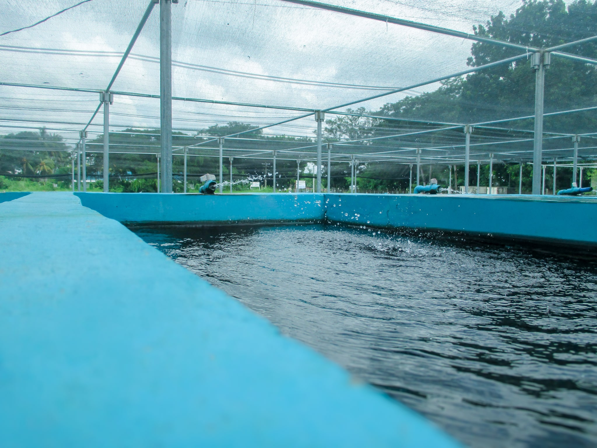Photo_Fisheries6