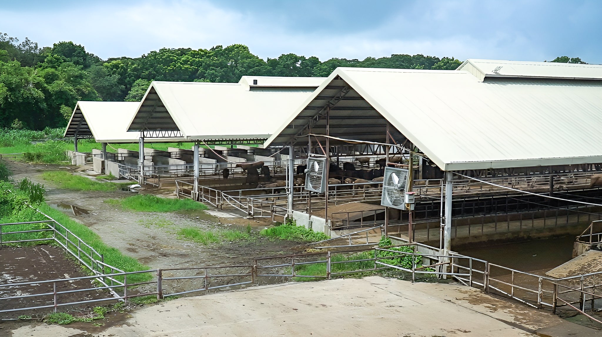 Carabao Enclosure